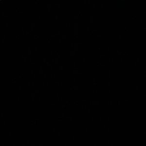 Meet your Posher, Maxime